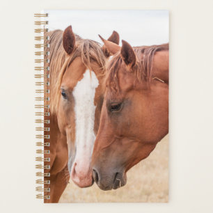Agenda Cavalos fungando em uma pastagem