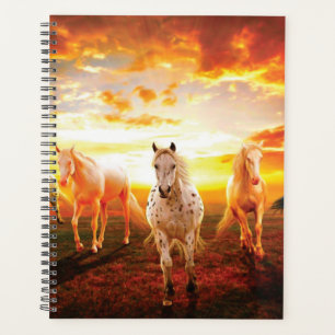Agenda Cavalos no travesseiro decorativo do pôr do sol