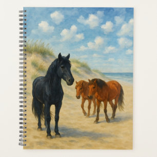 Agenda Cavalos Selvagens de Corolla Carolina do Norte Aqu