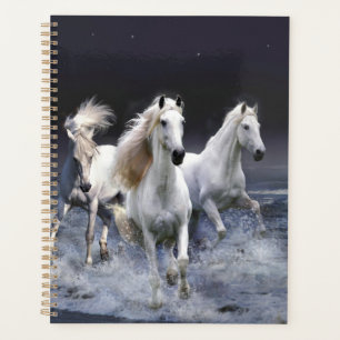 Agenda Cavalos travesseiros decorativos