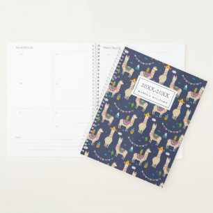 Agenda Celebração do padrão Llama