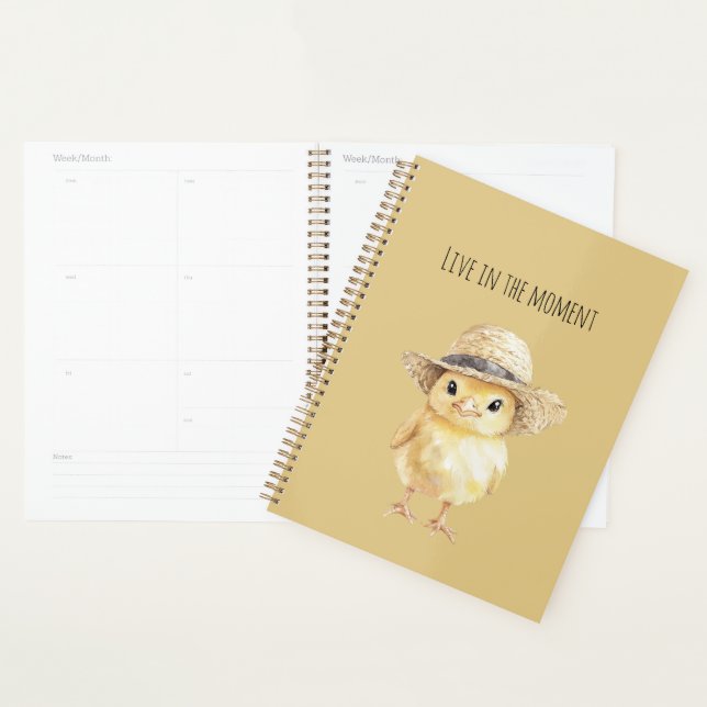 Agenda Chapéu de Galinha Amarela (Exibição)