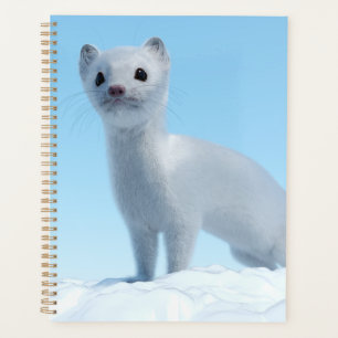 Agenda Charme de Doninha do Ártico