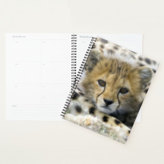 Agenda Cheetah Cub (Exibição)