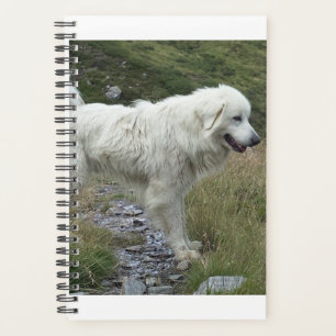 Agenda cheio de folhas excelente