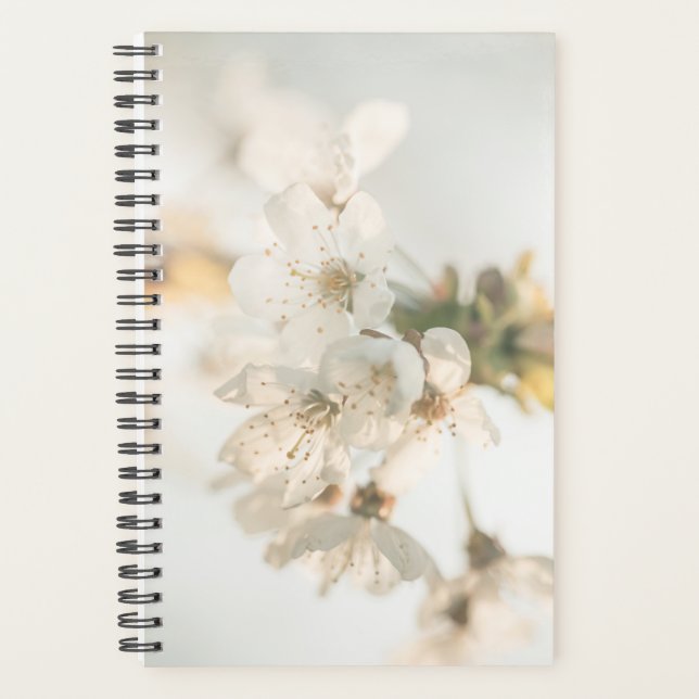 Agenda Cherry Blossom Nature Photo (Frente)