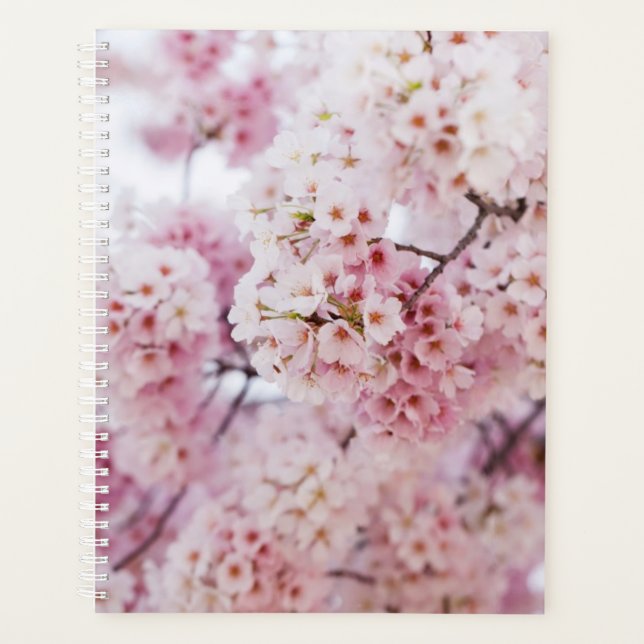Agenda Cherry Blossoms (Frente)