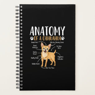 Agenda Chihuahua Dog Anatomy