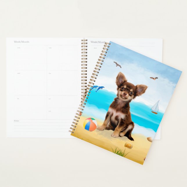 Agenda Chihuahua Dog na praia (Exibição)