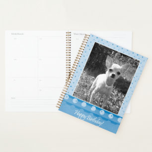 Agenda Chihuahua Dog Parabéns