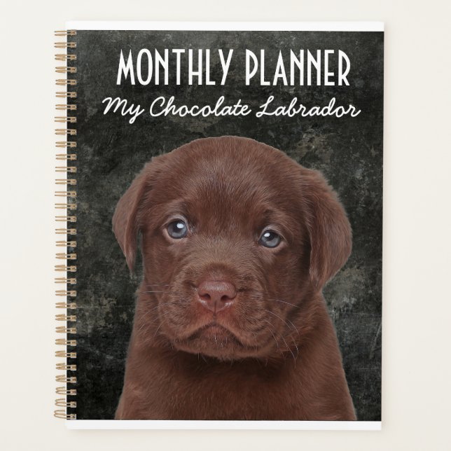 Agenda Chocolate Labrador Planner (Frente)