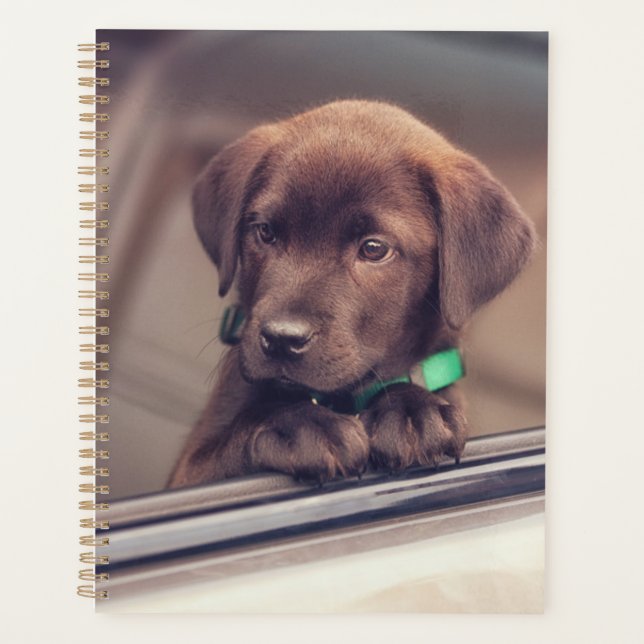 Agenda Chocolate Labrador Puppy No Carro (Frente)