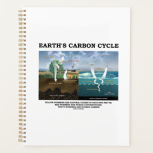 Agenda Ciência da Terra com Ciclo de Carbono Ambiental