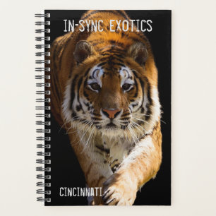 Agenda Cincinnati Tiger -