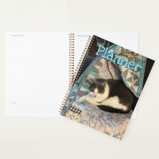 Agenda Cinza e gato branco (Exibição)
