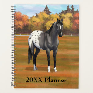 Agenda Cinza Grulla Appaloosa Quarter Horse Stallion