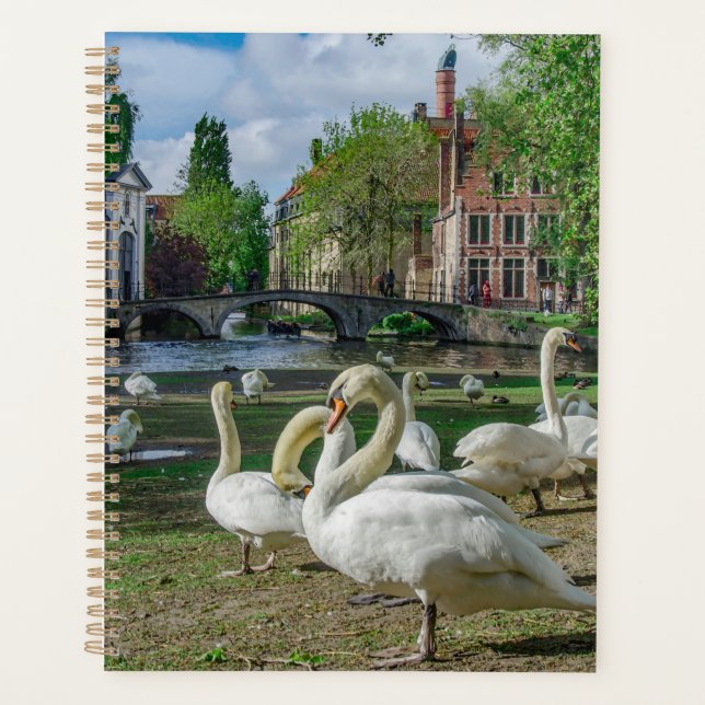 Agenda Cisnes brancas de Bruges (Frente)