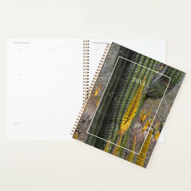 Agenda Close de Cacto e Agave (Exibição)