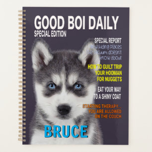 Agenda Cobrir da Revista Parody Siberian Husky