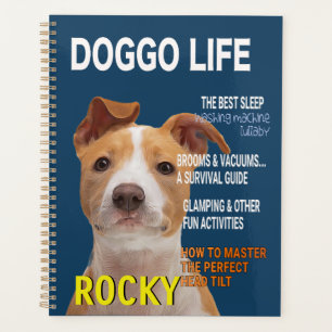 Agenda Cobrir da Revista Pitbull Parody