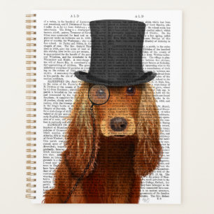 Agenda Cocker Spaniel, Formal Hound e Chapéu
