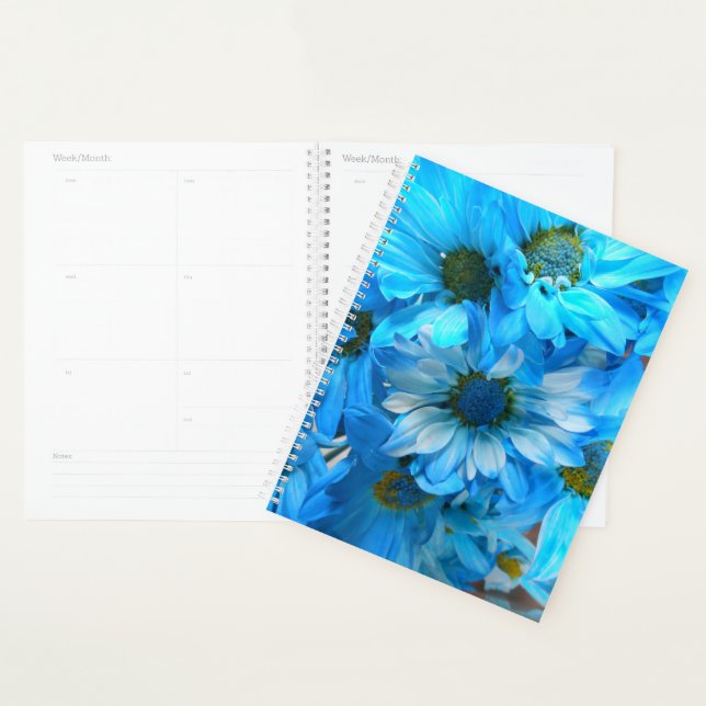 Agenda Collaert (Exibição)