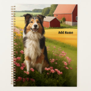 Agenda Collie Padrão na Fazenda