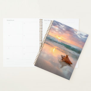 Agenda Conch Shell na Praia Jamaica