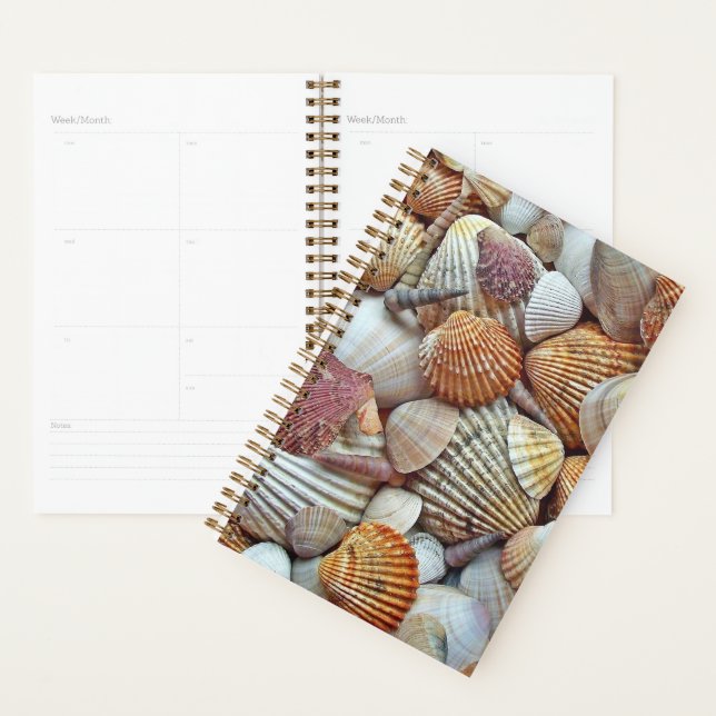Agenda Conchas do Mar (Exibição)