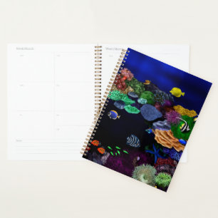Agenda Coral Colorido e Recife de Peixes