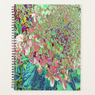 Agenda Coral Elegante e Chartreuse Limelight Hydrangea