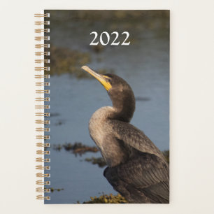 Agenda Cormorão de peito duplo