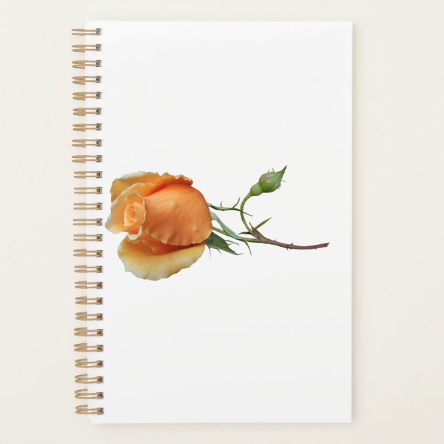 Agenda Corte de rosa solteiro (Frente)