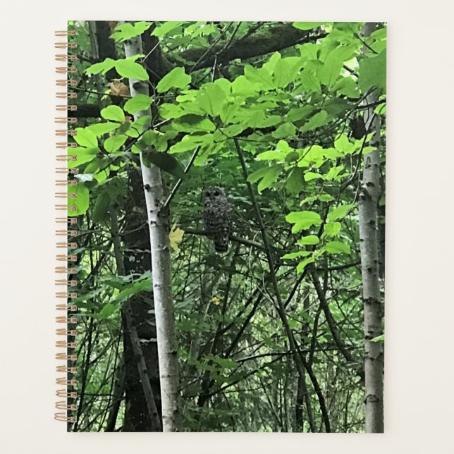 Agenda Coruja das Árvores, Oregon (Frente)