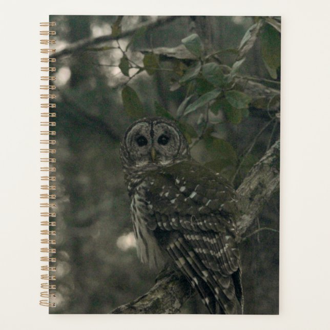 Agenda Coruja na Floresta (Frente)