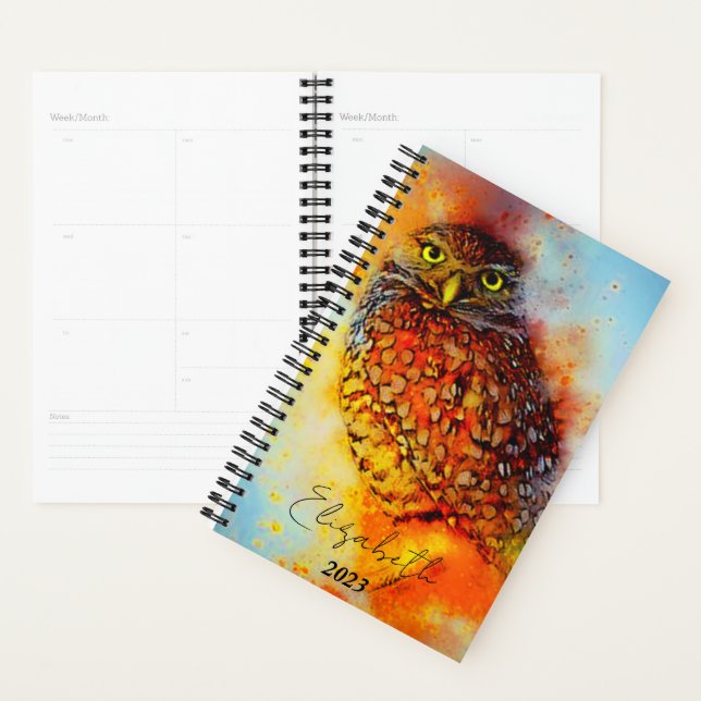 Agenda Coruja salpicada personalizada, ano personalizado (Exibição)