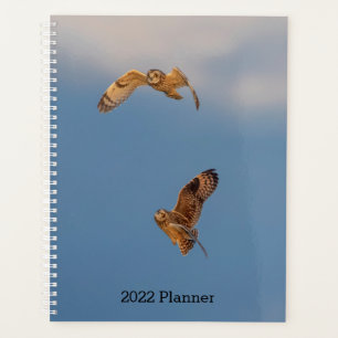 Agenda Corujas De Olho Curto 2022