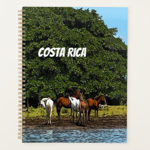 Agenda Costa Rica - Cavalos pela Água