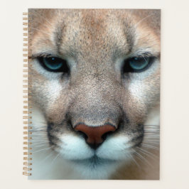 Agenda Cougar Mountain Lion Cat Destino do Animal