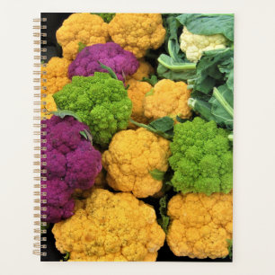 Agenda Couve-flor Colorida, Decoração do outono