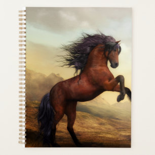 Agenda criação de cavalos selvagens  