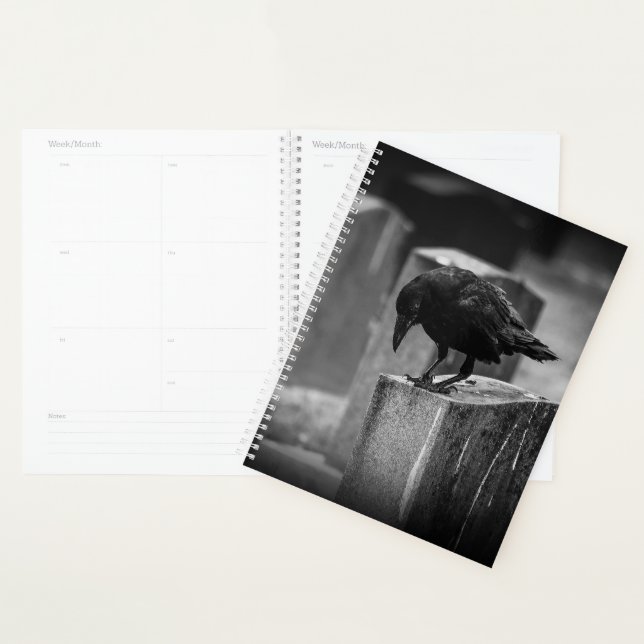 Agenda Crow do Cemitério de Queda (Exibição)