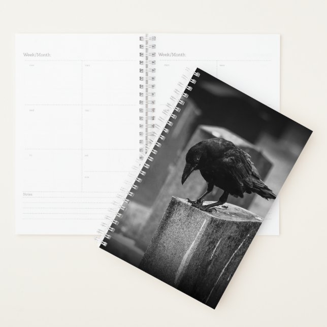 Agenda Crow do Cemitério de Queda (Exibição)