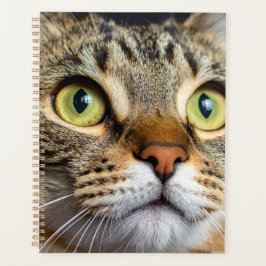 Agenda Cute cat