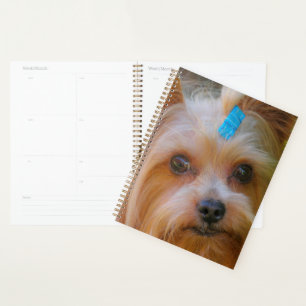 Agenda Cute Yorkshire Terrier Dog Head
