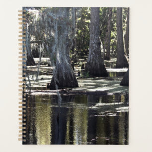 Agenda Cypress Cálida