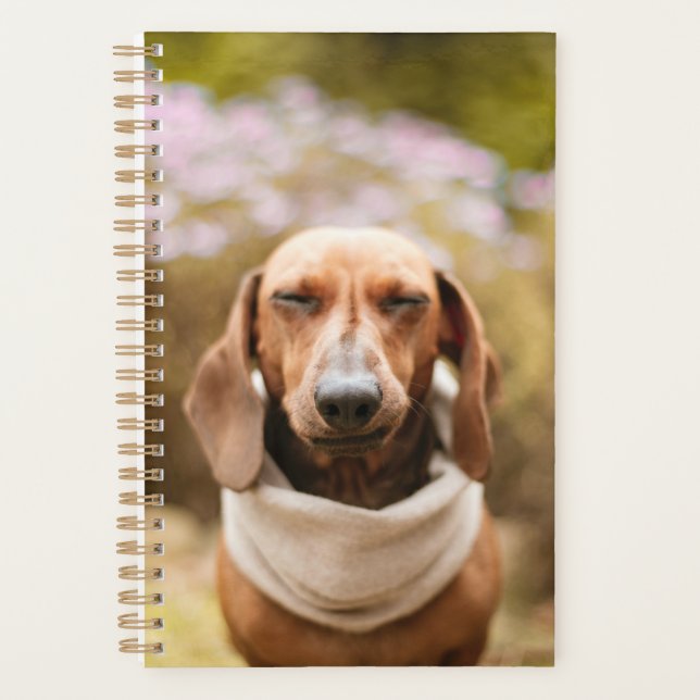 Agenda Dachshund bonito (Frente)