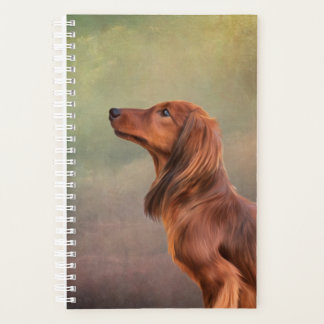 Agenda Dachshund de cabelos longos da raça suína