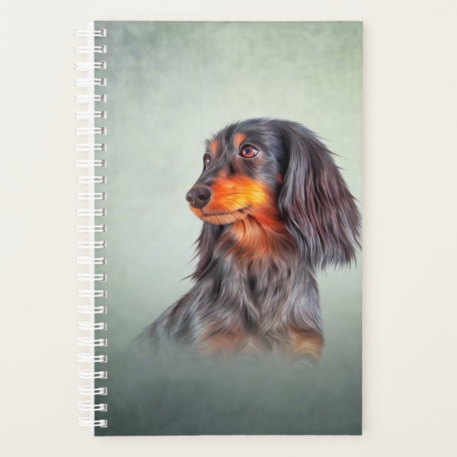 Agenda Dachshund de cabelos longos da raça suína (Frente)