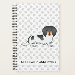 Agenda Dachshund E Texto De Cabelo Longo Preto E Tano